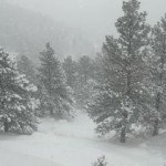 Snowy-Boulder