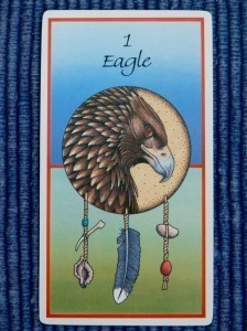 Eagle Medicine Card