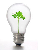 Green Energy Marketing