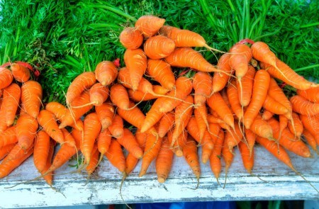 Carrots By Ed Yourdon