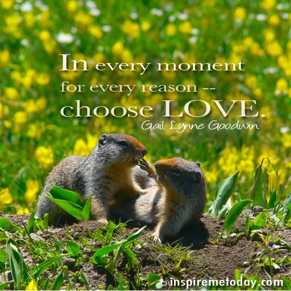 In Every Moment For Every Reason -- Choose LOVE. | Inspire Me Today®