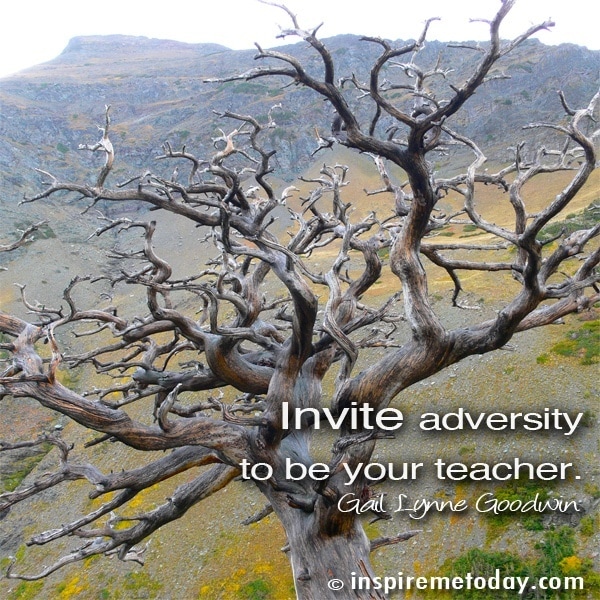 Quote Invite Adversity To1