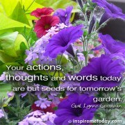 Your Actions, Thoughts And Words Today Are But Seeds For Tomorrow's ...