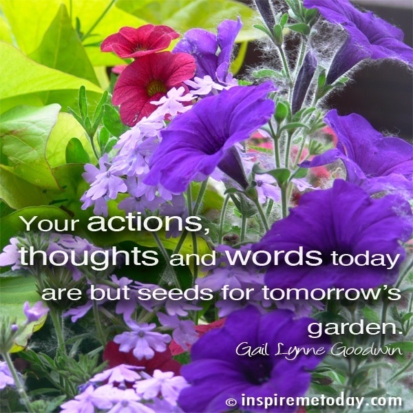 Photo QuotesYour actions, thoughts and words today are but seeds for tomorrow’s garden.