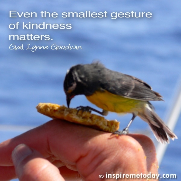 Quote Even The Smallest