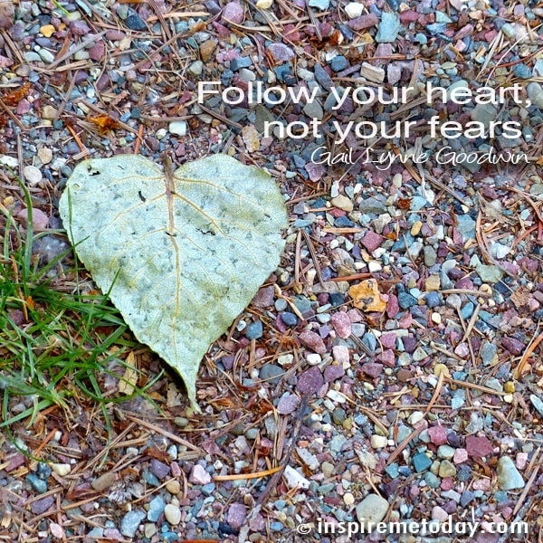 Quote Follow Your Heart Not