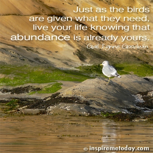 Quote Just As The Birds