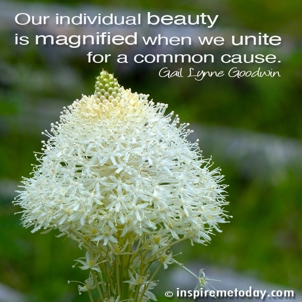 Quote Our Individual Beauty