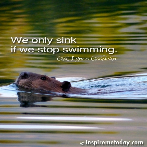 Quote We Only Sink