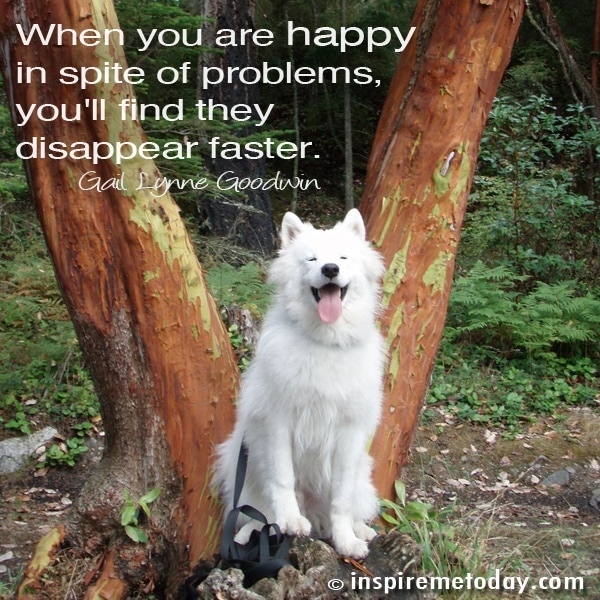 Quote When You Are Happy
