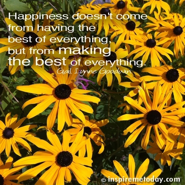 Quote Happiness Doesnt Come From1