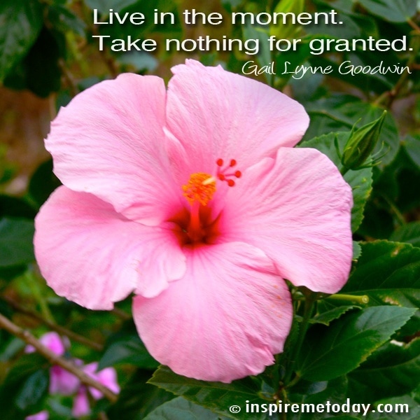 Quote Live In The Moment1