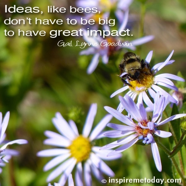 Ideas, like bees, don't have to be big to have great impact.