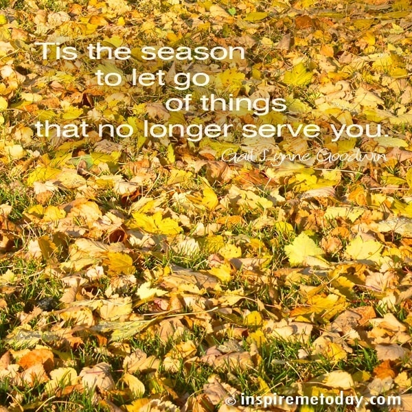 Tis the season to let go of things that no longer serve you.