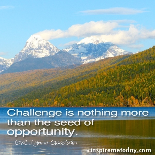 Challenge is nothing more than the seed of opportunity.