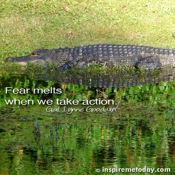 Fear Melts Away When We Take Action.