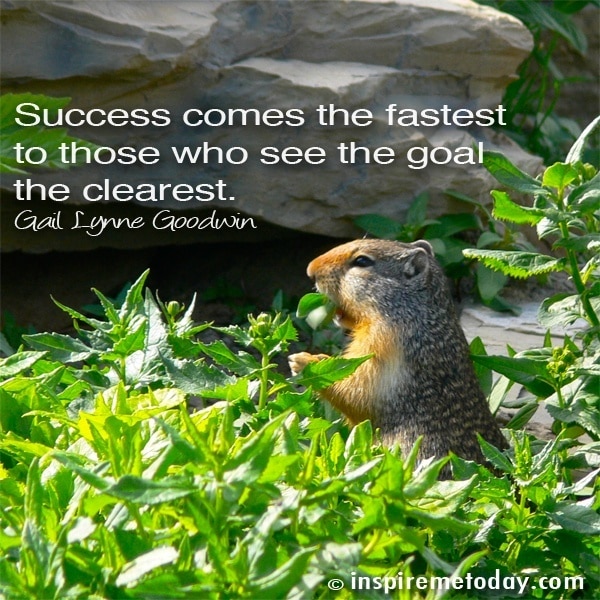 Success comes fastest to those who see the goal the clearest.