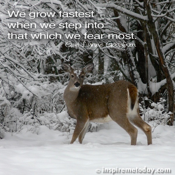We grow fastest when we step into that which we fear most.