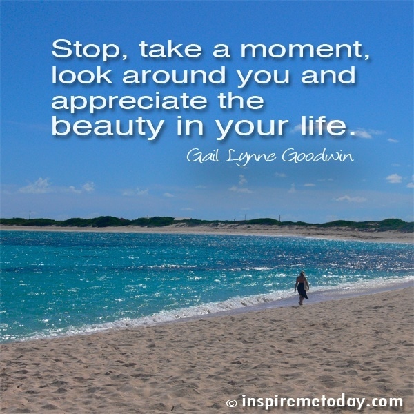 Stop, take a moment, look around you and appreciate the beauty in your life.