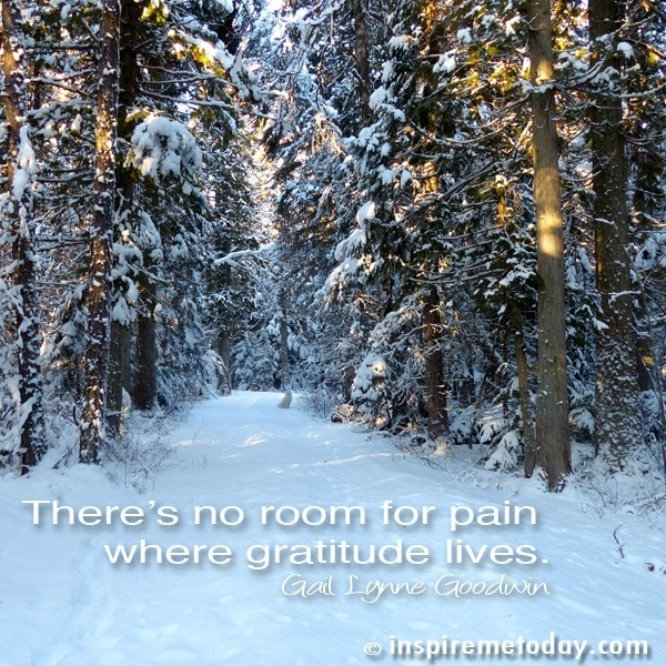 There's No Room For Pain Where Gratitude Lives.