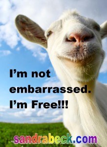 Im Not Embarrassed Im Free