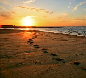 Footprints on a beach